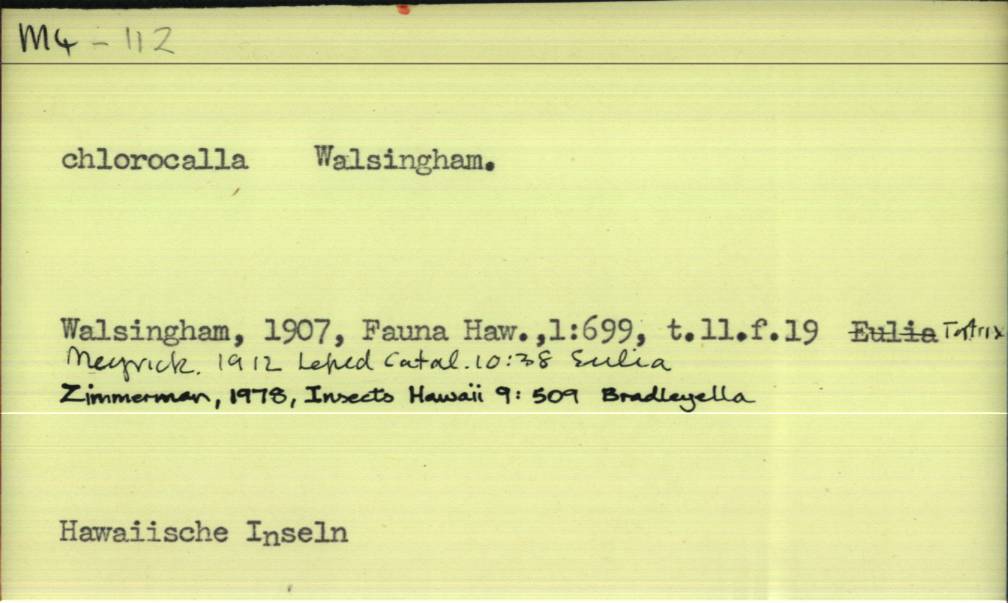 front of card